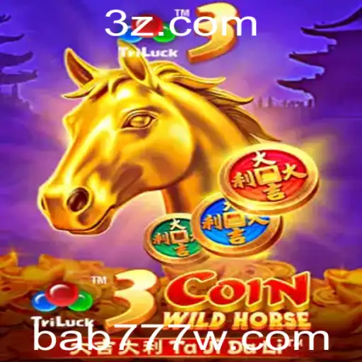 bab777.com Casino Withdrawal